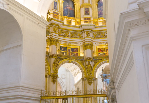 The view of the roof