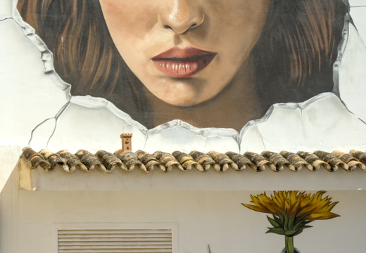 A seductive wall