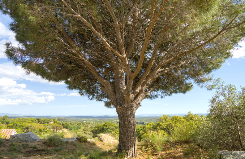 travelSpain0150.jpg