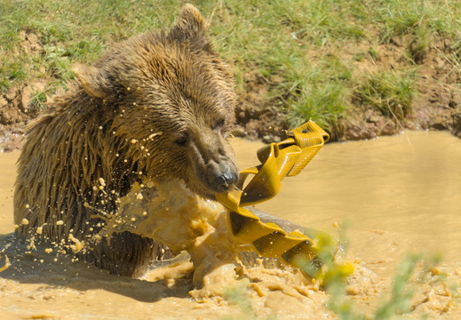 Splashin' about