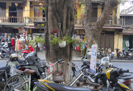 travelVietnam015
