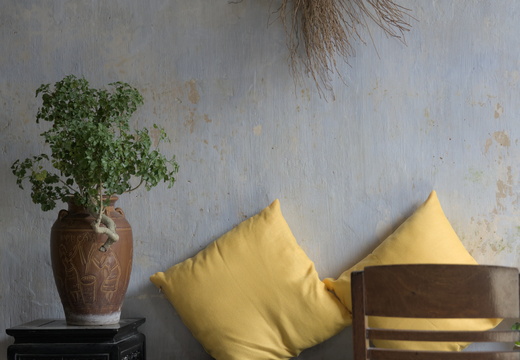 Cushions in contrast