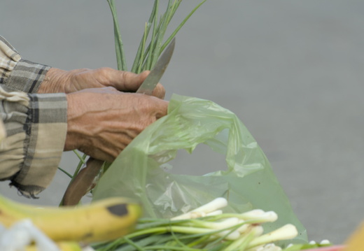 Spring onions chopped on the street