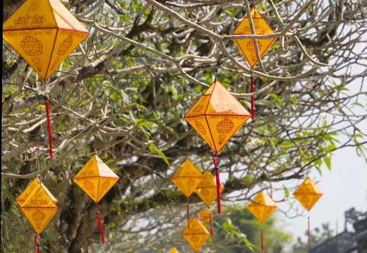 Hanging from a tree