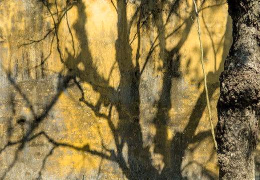 A shadowy wall