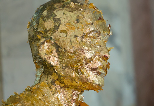The golden head