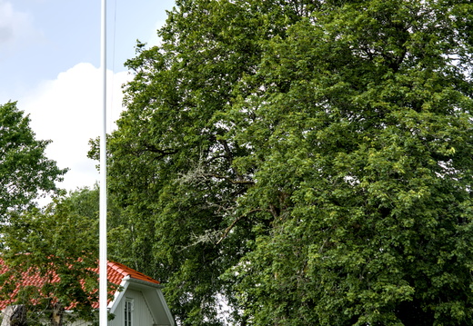 Flying the Swedish flag 
