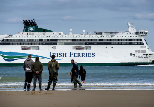 Irish Ferries in Calais