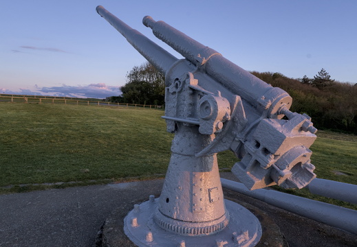 Big guns!