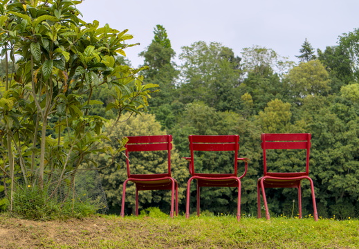 Three bear chairs