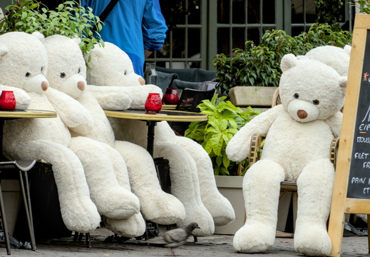 Drunk teddies