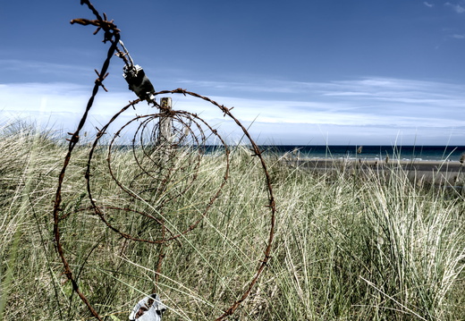Barbed wire