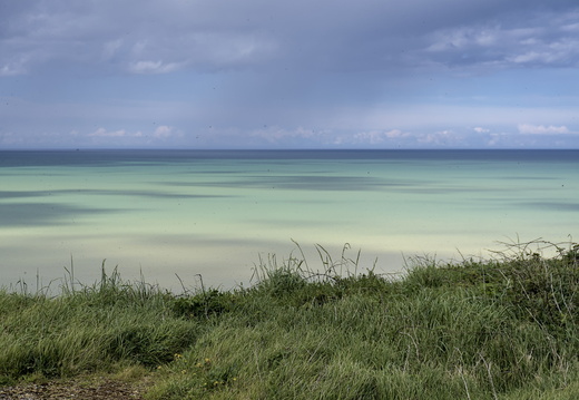 Aqua Sea