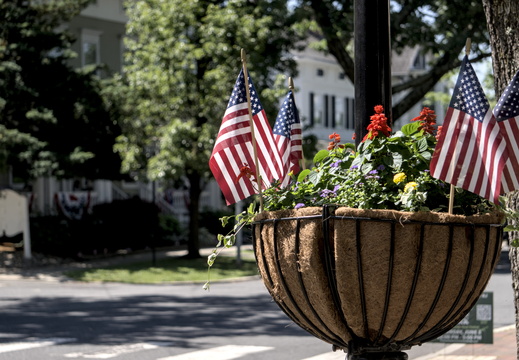 Basket of flowers