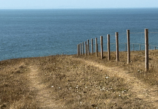 Posts in a field