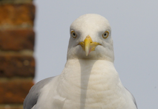 Are you looking at me?