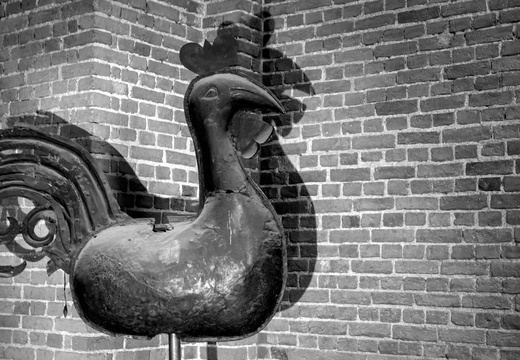 An old weather cock!