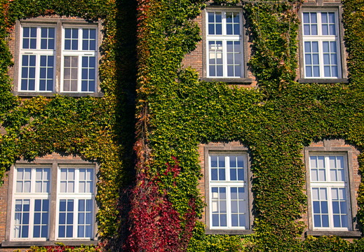 Creeping up the walls